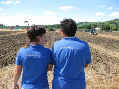 Klicken für Bild in voller Größe