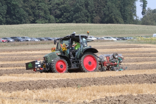 Klicken für Bild in voller Größe